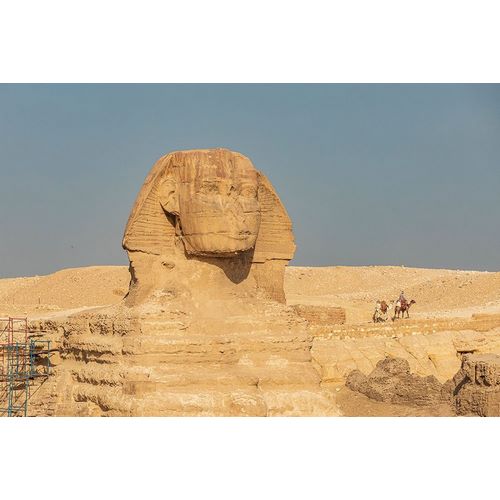 Africa-Egypt-Cairo Giza plateau Great Sphinx of Giza